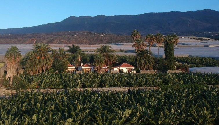 Villa Mary Tazacorte Esterno foto